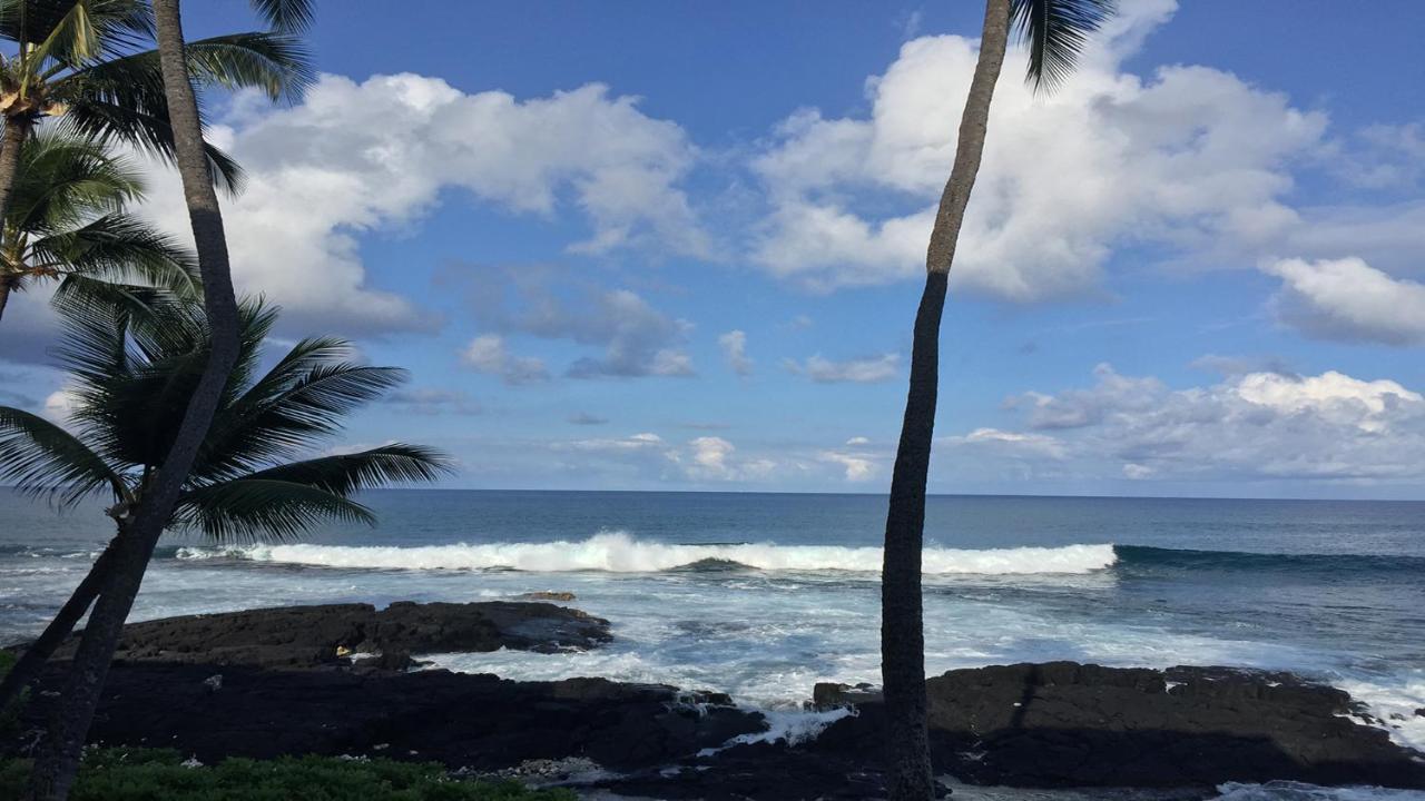 Oceanfront-Incredible Views, Surf Break & Romantic Sunsets At Bali Kai 223 Kailua-Kona Eksteriør billede
