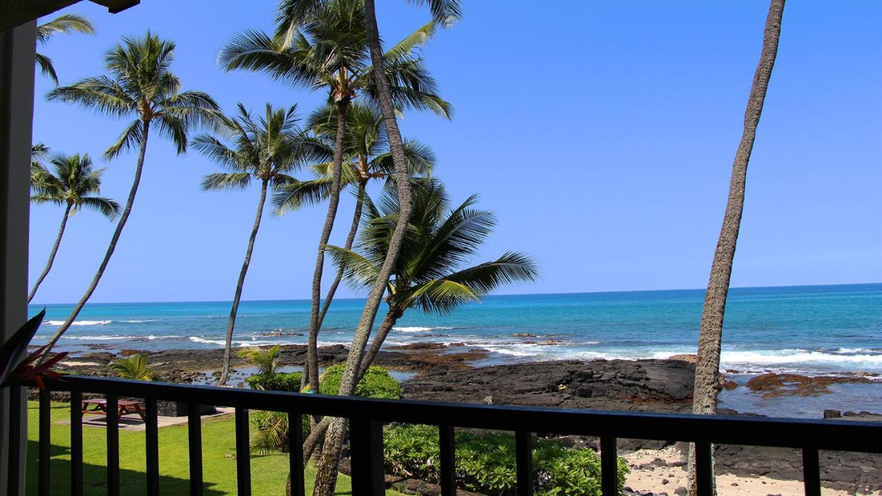 Oceanfront-Incredible Views, Surf Break & Romantic Sunsets At Bali Kai 223 Kailua-Kona Eksteriør billede